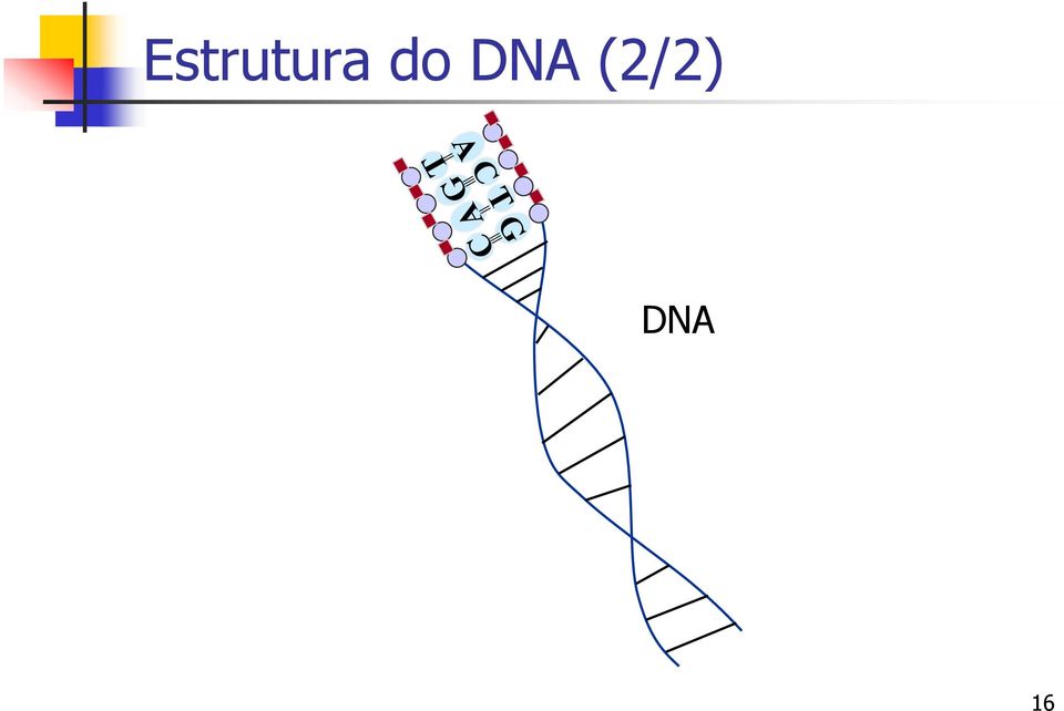 (2/2) DNA