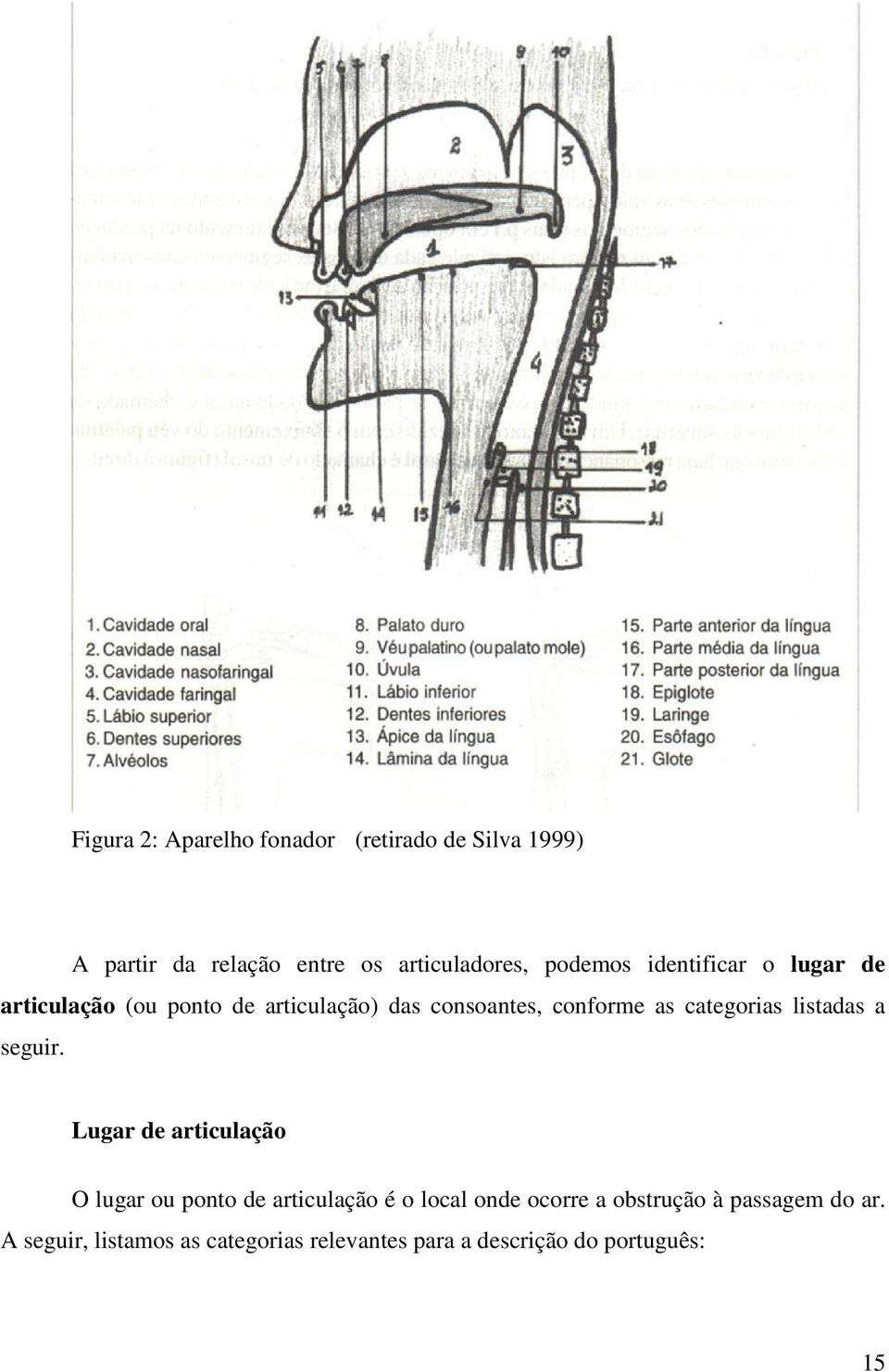 categorias listadas a seguir.