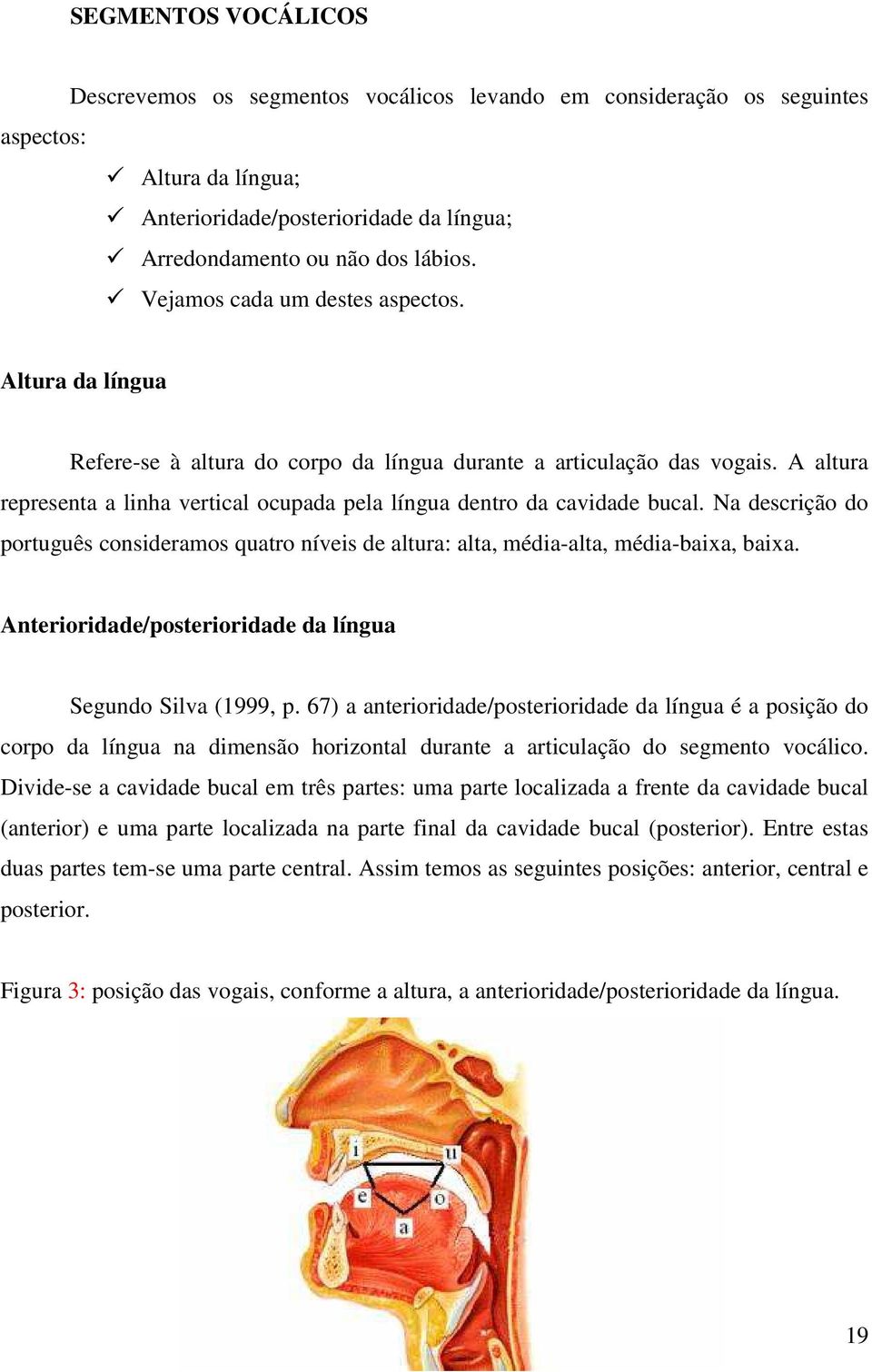 A altura representa a linha vertical ocupada pela língua dentro da cavidade bucal. Na descrição do português consideramos quatro níveis de altura: alta, média-alta, média-baixa, baixa.