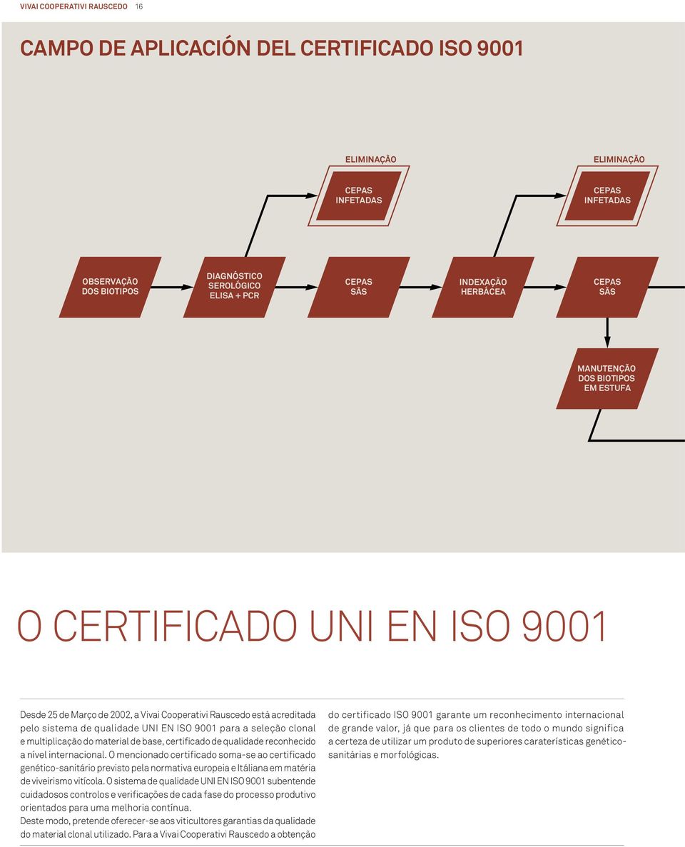 ISO 9001 para a seleção clonal e multiplicação do material de base, certificado de qualidade reconhecido a nível internacional.