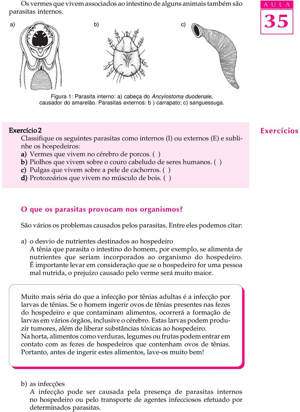 Parazitozele intestinale: giardioza si ascaridioza | coronatravel.ro