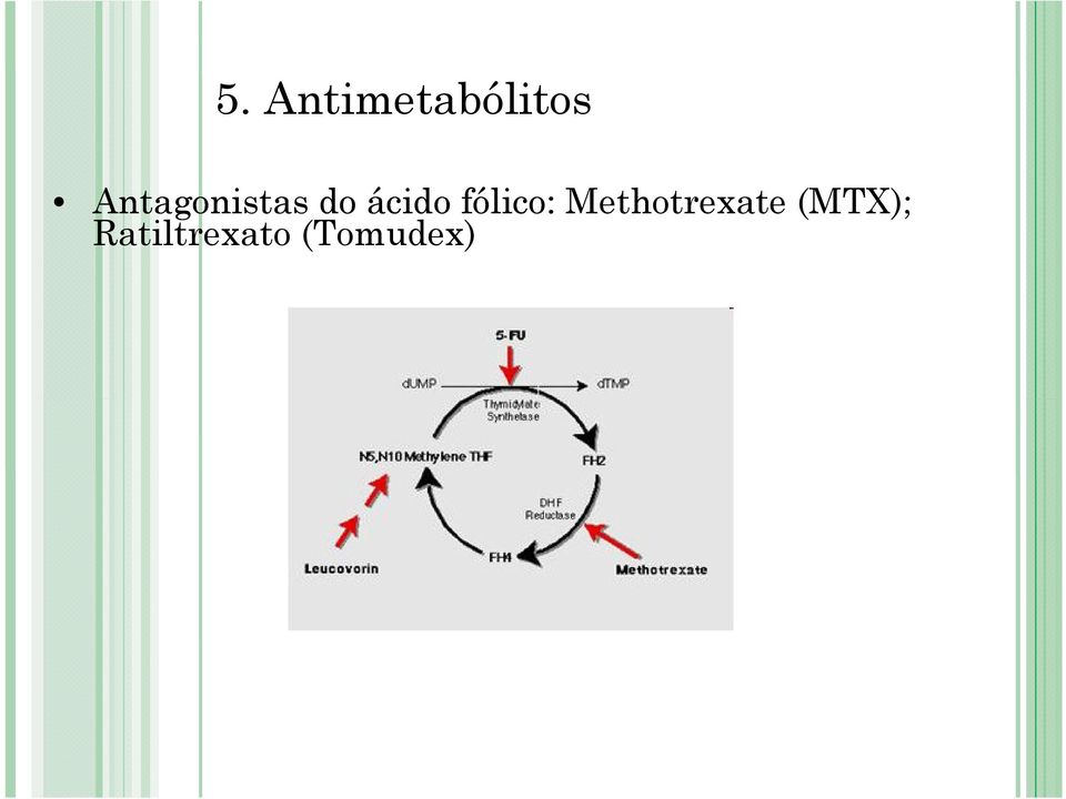 Methotrexate (MTX);