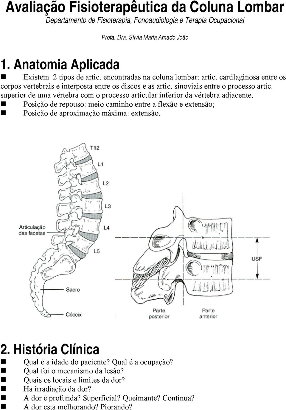 sinoviais entre o processo artic. superior de uma vértebra com o processo articular inferior da vértebra adjacente.