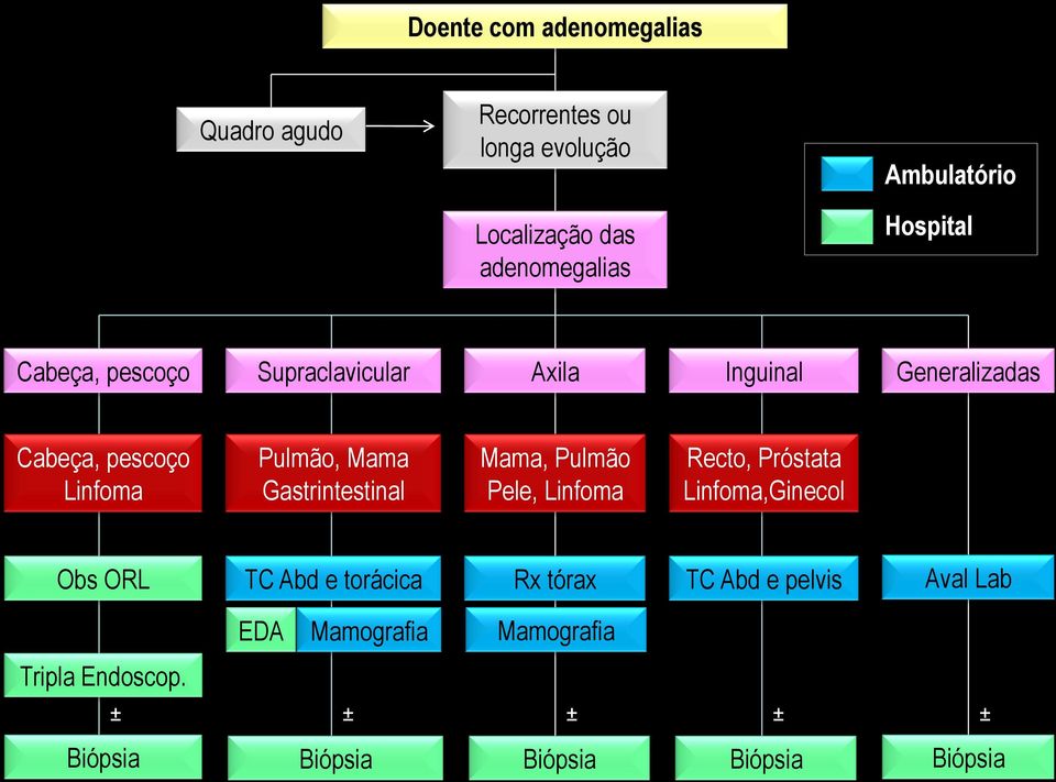 Gastrintestinal Mama, Pulmão Pele, Linfoma Recto, Próstata Linfoma,Ginecol Obs ORL TC Abd e torácica Rx tórax