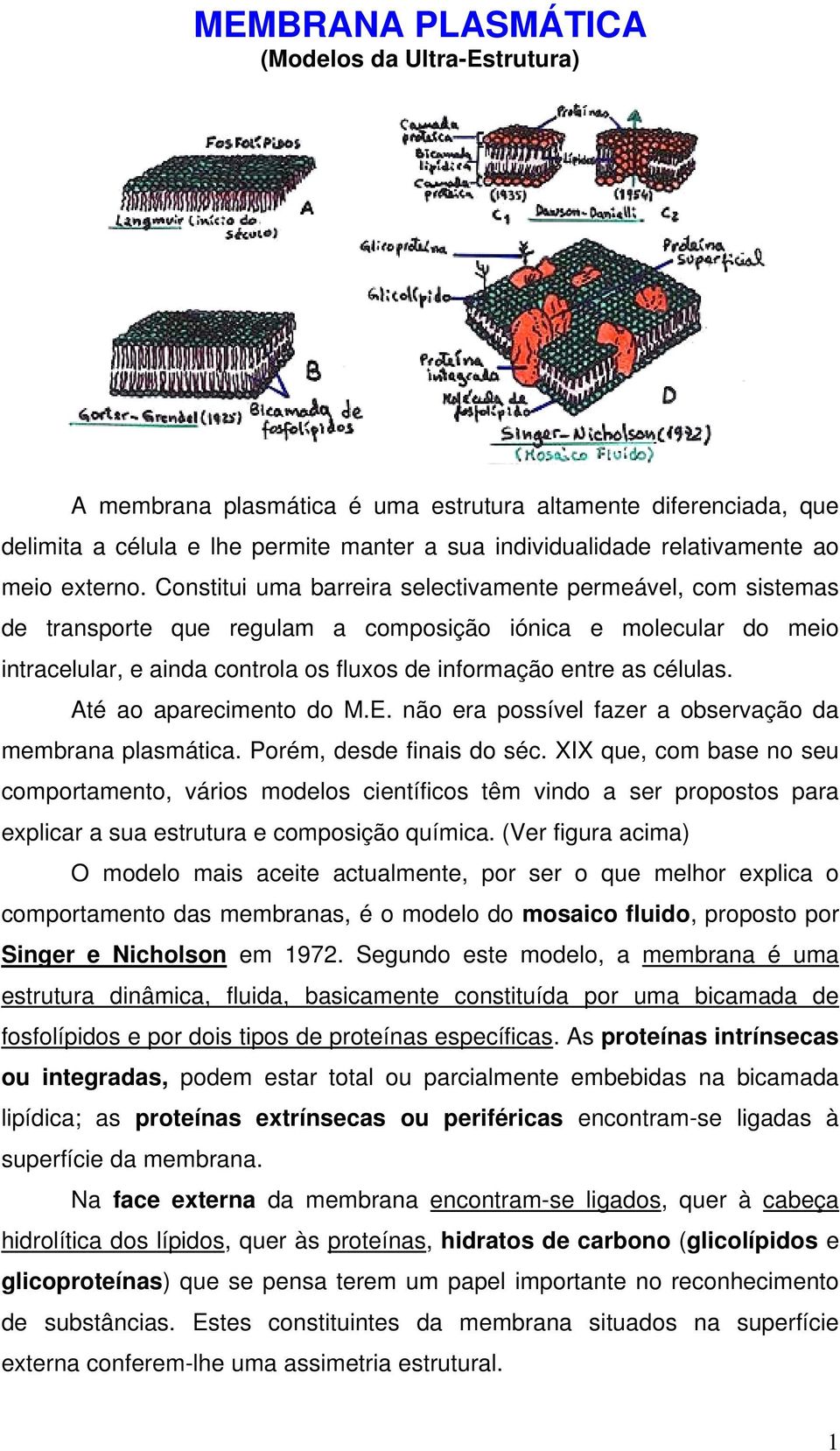 Constitui uma barreira selectivamente permeável, com sistemas de transporte que regulam a composição iónica e molecular do meio intracelular, e ainda controla os fluxos de informação entre as células.