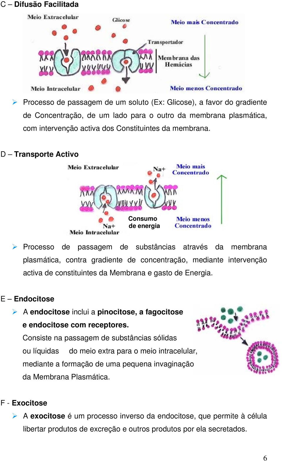 D Transporte Activo Consumo de energia Processo de passagem de substâncias através da membrana plasmática, contra gradiente de concentração, mediante intervenção activa de constituintes da Membrana e