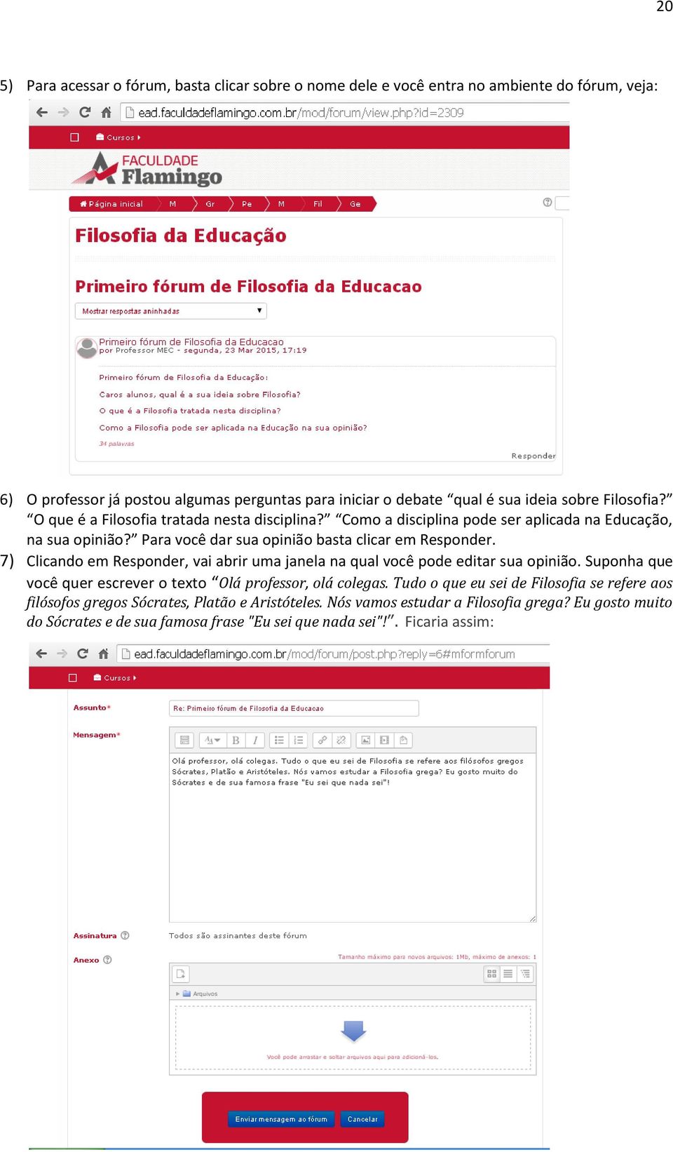 7) Clicando em Responder, vai abrir uma janela na qual você pode editar sua opinião. Suponha que você quer escrever o texto Olá professor, olá colegas.