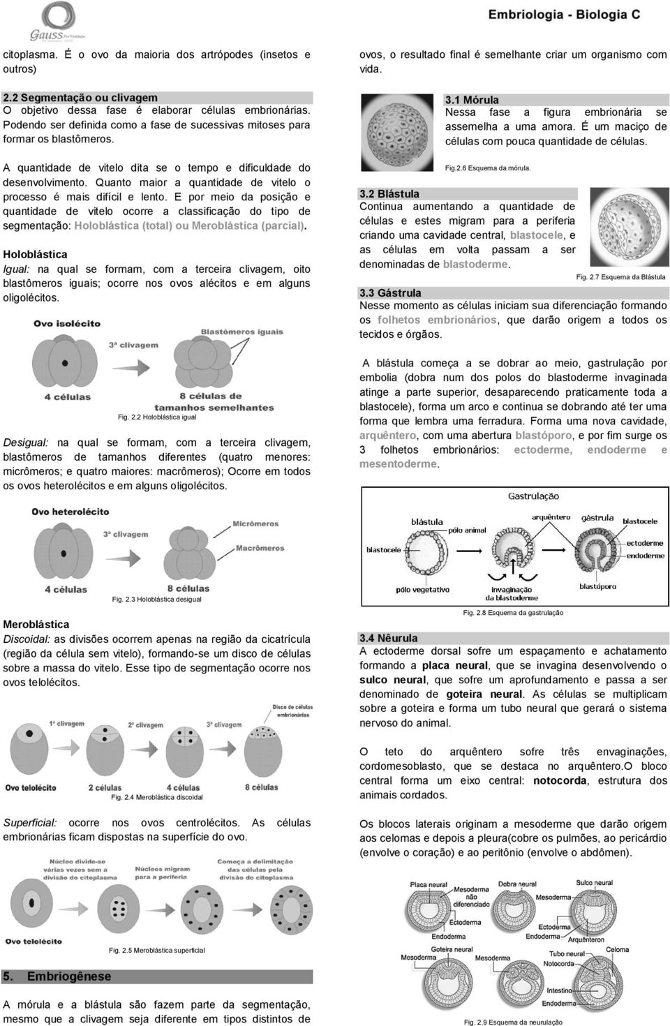 Quanto maior a quantidade de vitelo o processo é mais difícil e lento.