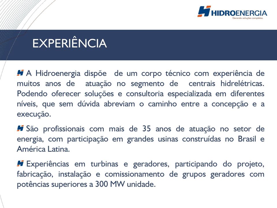 São profissionais com mais de 35 anos de atuação no setor de energia, com participação em grandes usinas construídas no Brasil e América Latina.