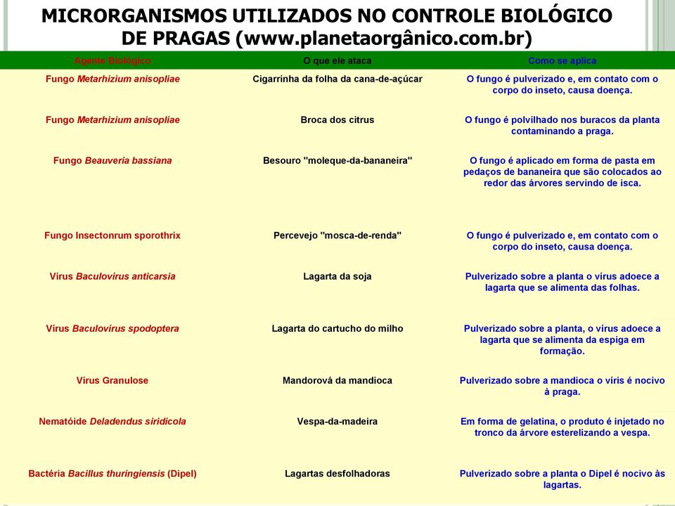 Fungo Metarhizium anisopliae Broca dos citrus O fungo é polvilhado nos buracos da planta contaminando a praga.