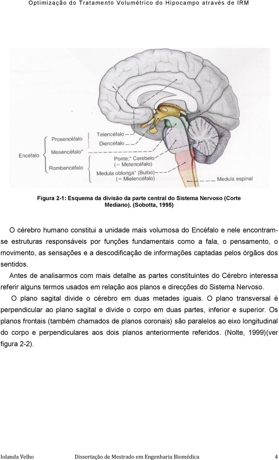 e a descodificação de informações captadas pelos órgãos dos sentidos.