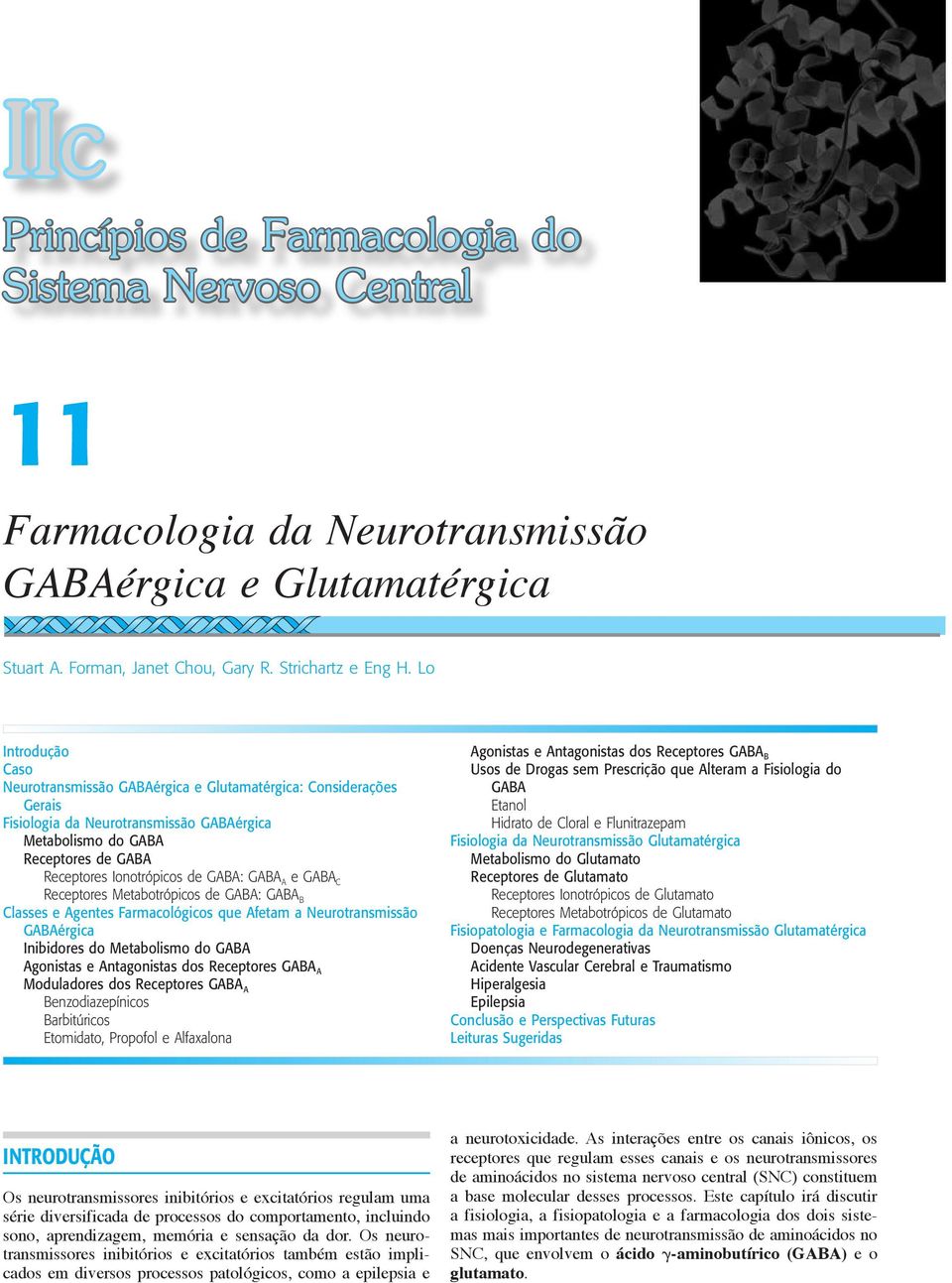 GABA A e GABA C Receptores Metabotrópicos de GABA: GABA B Classes e Agentes Farmacológicos que Afetam a Neurotransmissão GABAérgica Inibidores do Metabolismo do GABA Agonistas e Antagonistas dos