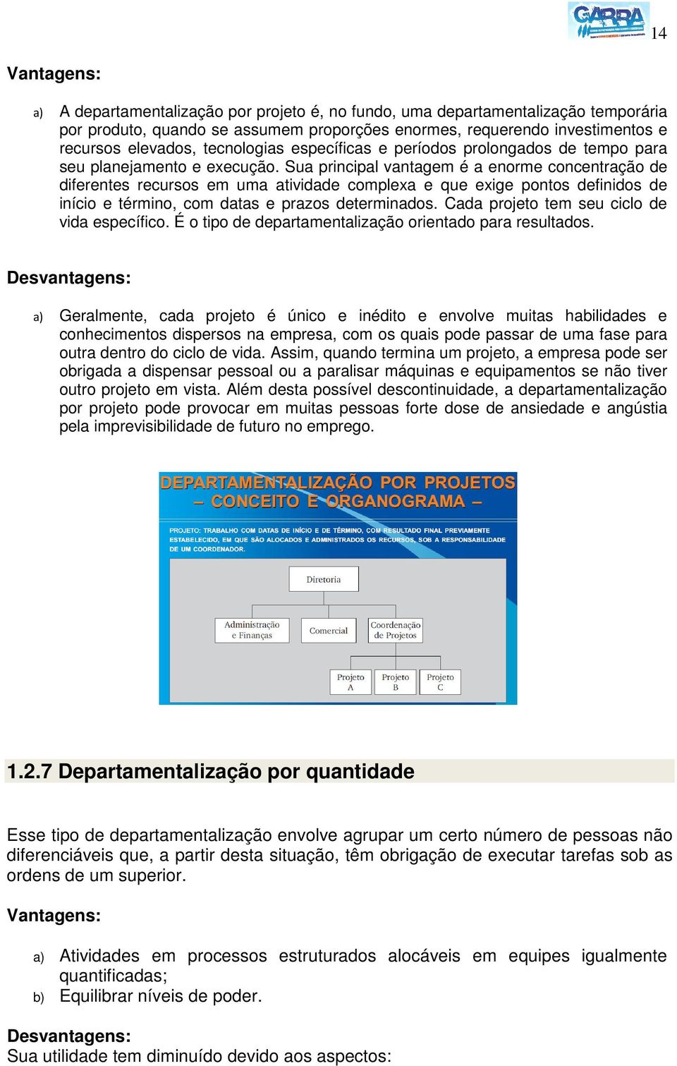 Sua principal vantagem é a enorme concentração de diferentes recursos em uma atividade complexa e que exige pontos definidos de início e término, com datas e prazos determinados.