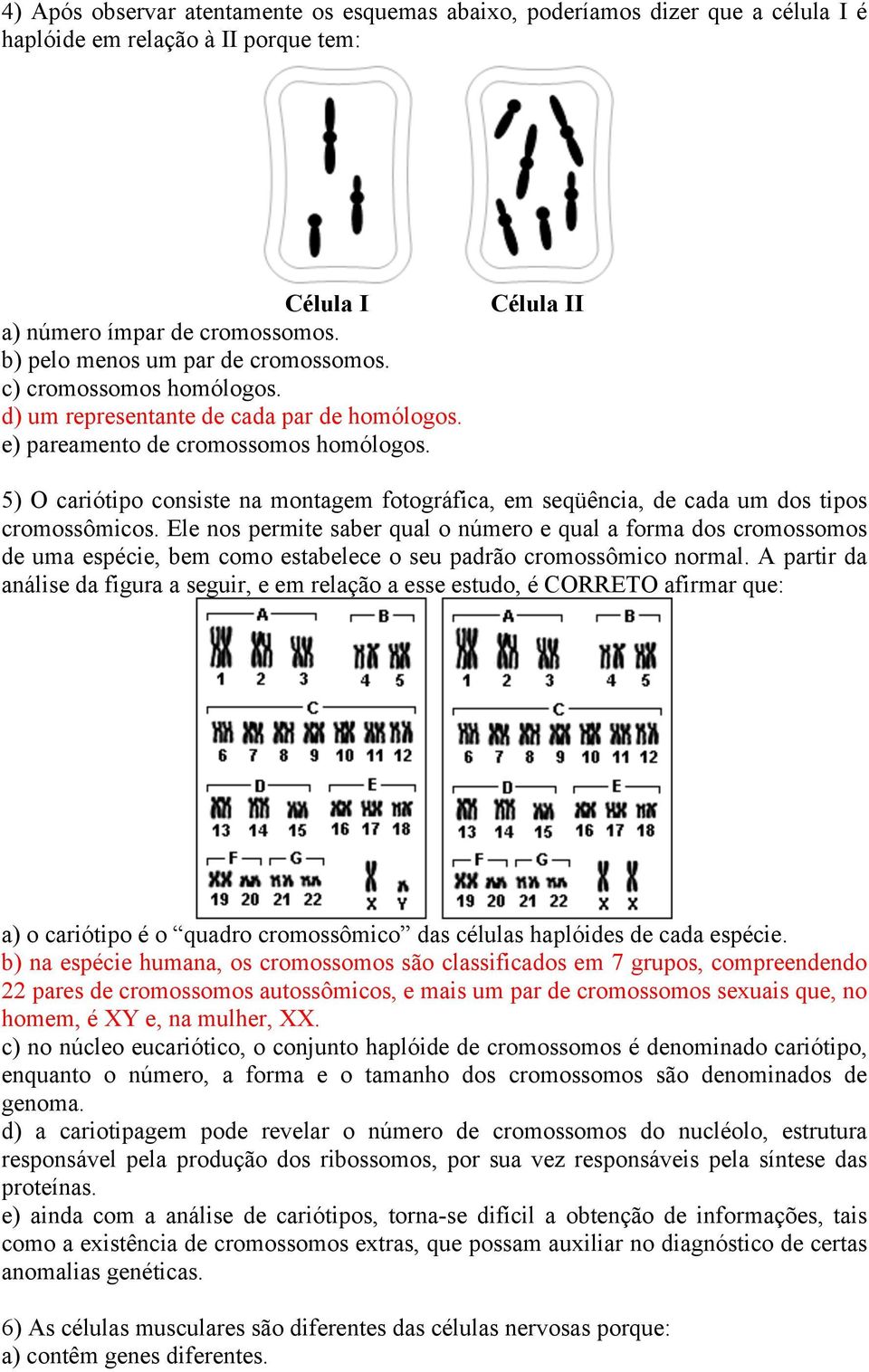Célula II 5) O cariótipo consiste na montagem fotográfica, em seqüência, de cada um dos tipos cromossômicos.