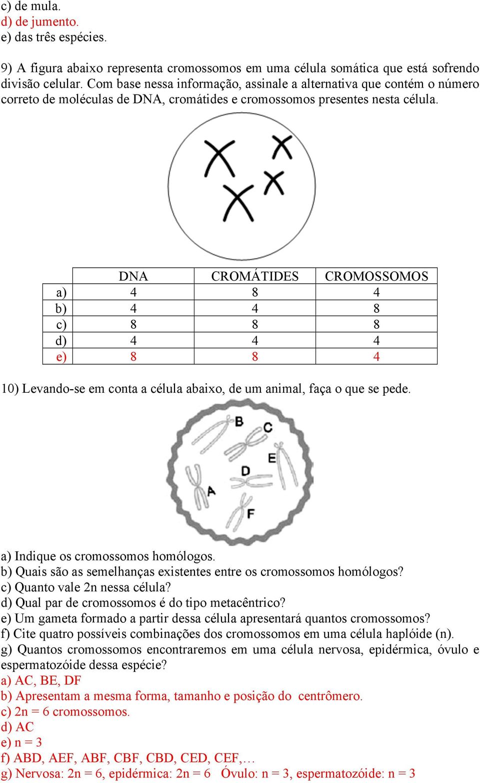 DNA CROMÁTIDES CROMOSSOMOS a) 4 8 4 b) 4 4 8 c) 8 8 8 d) 4 4 4 e) 8 8 4 10) Levando-se em conta a célula abaixo, de um animal, faça o que se pede. a) Indique os cromossomos homólogos.