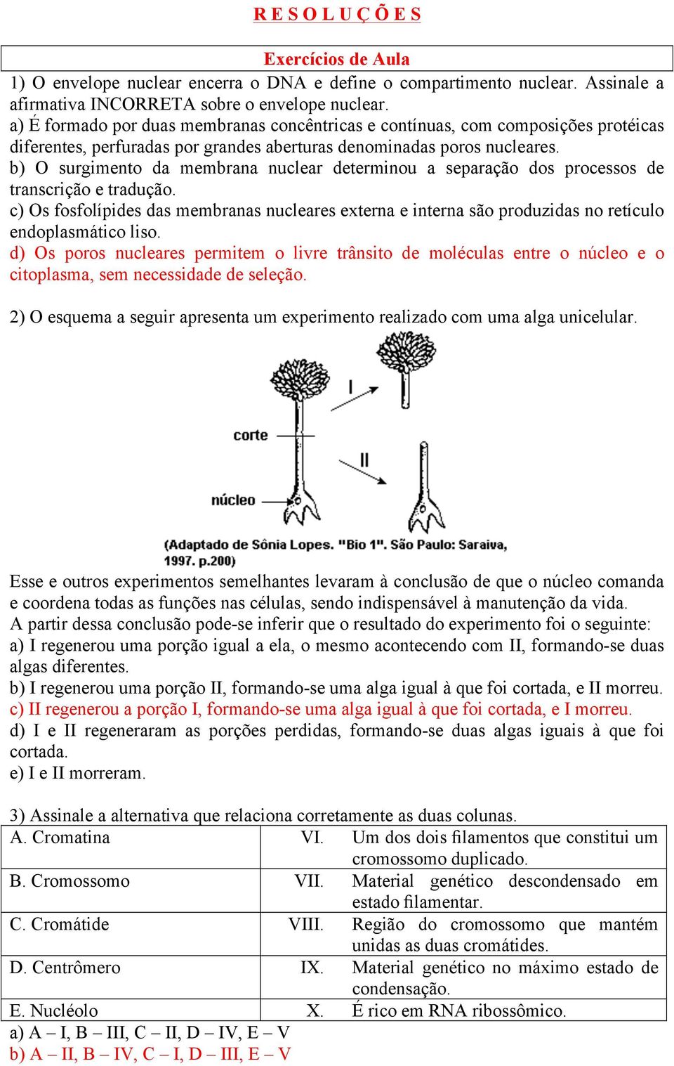 b) O surgimento da membrana nuclear determinou a separação dos processos de transcrição e tradução.