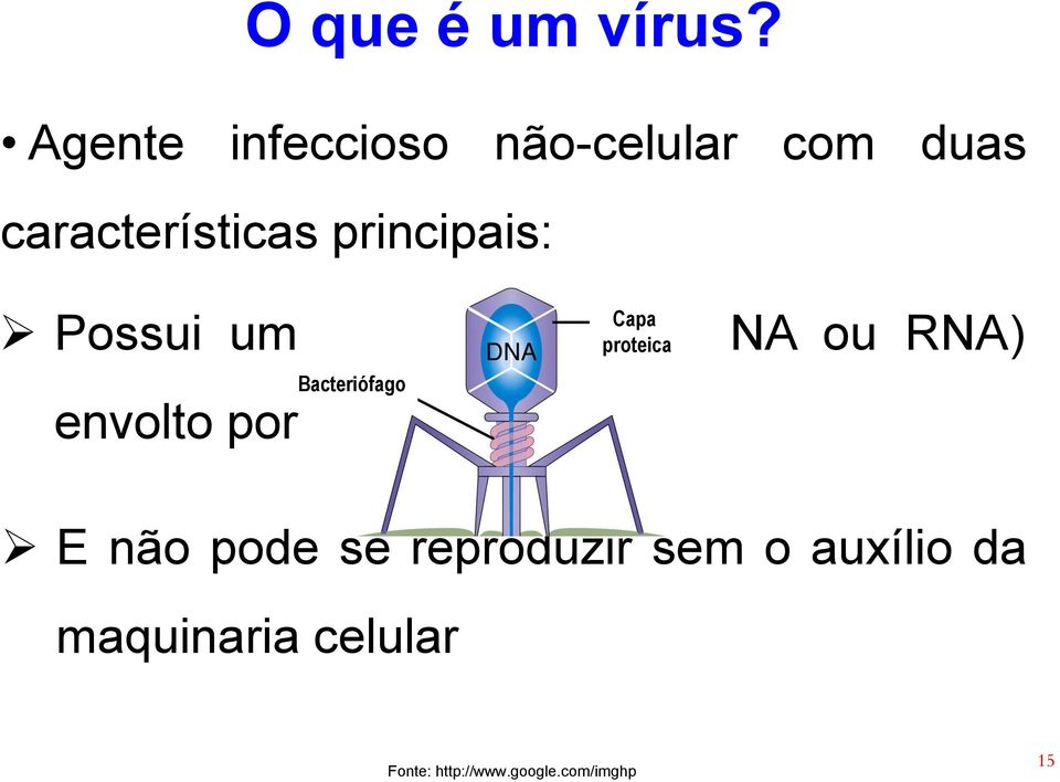 Capa Possui um ácido nucleico proteica(dna ou RNA) Bacteriófago