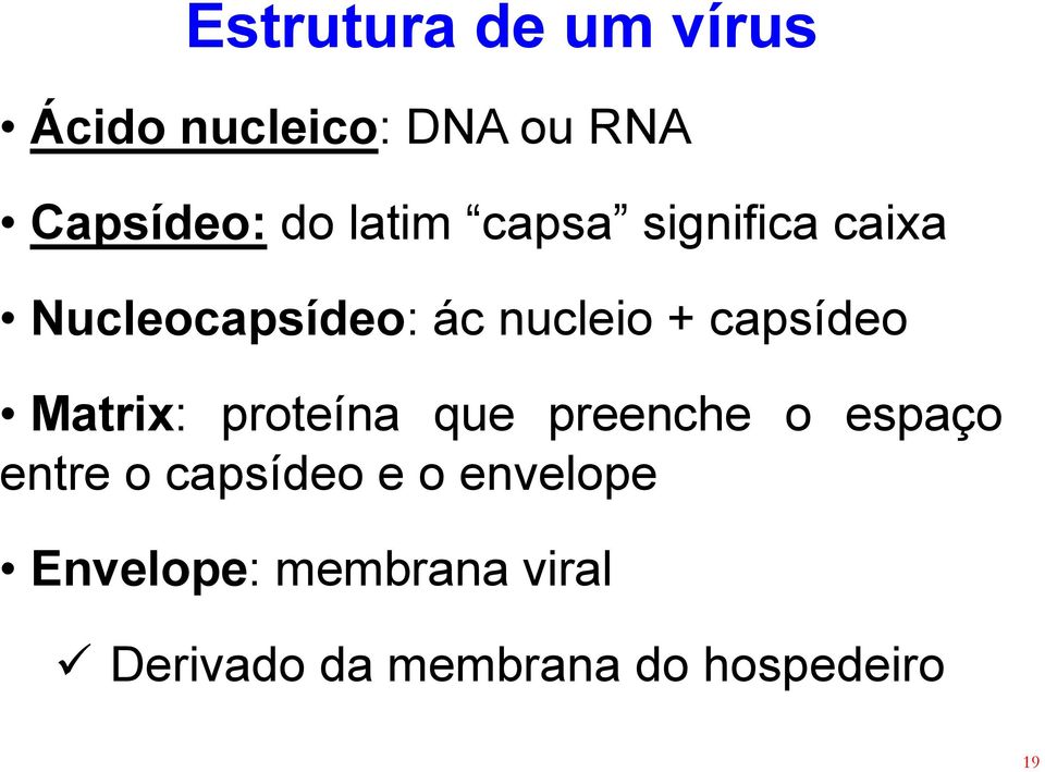 capsídeo Matrix: proteína que preenche o espaço entre o capsídeo