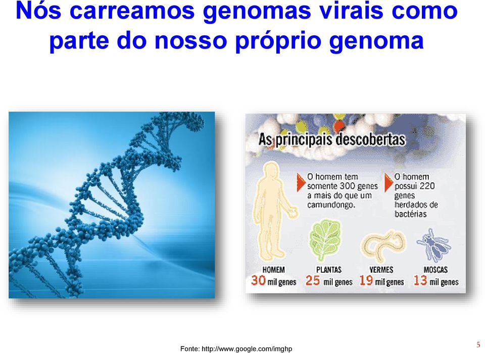 nosso próprio genoma