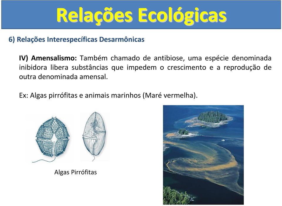 substâncias que impedem o crescimento e a reprodução de outra