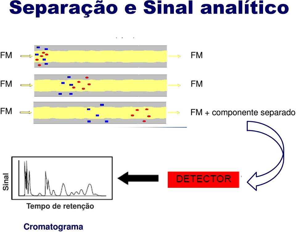 FM + componente separado