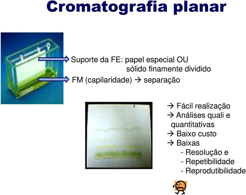 Fácil realização Análises quali e quantitativas Baixo