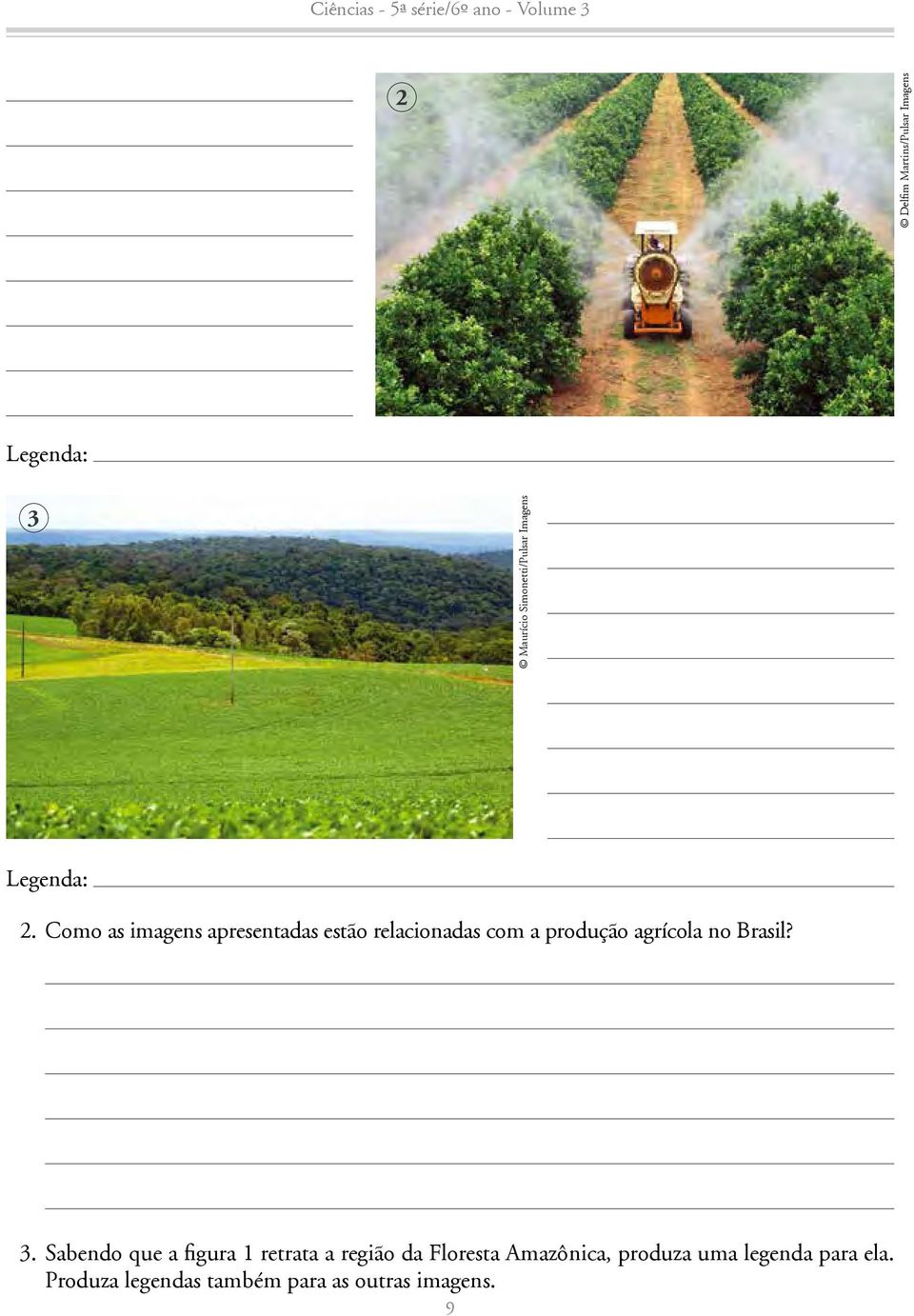 Como as imagens apresentadas estão relacionadas com a produção agrícola no