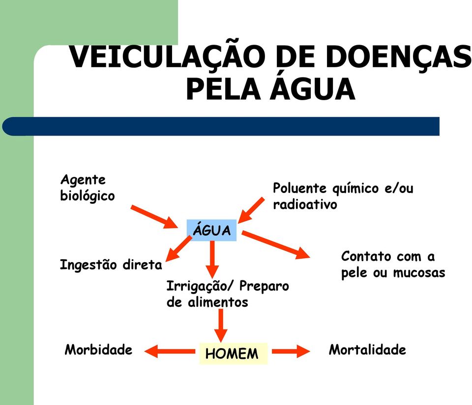 Ingestão direta Irrigação/ Preparo de alimentos