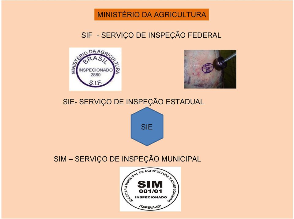 SERVIÇO DE INSPEÇÃO ESTADUAL SIE