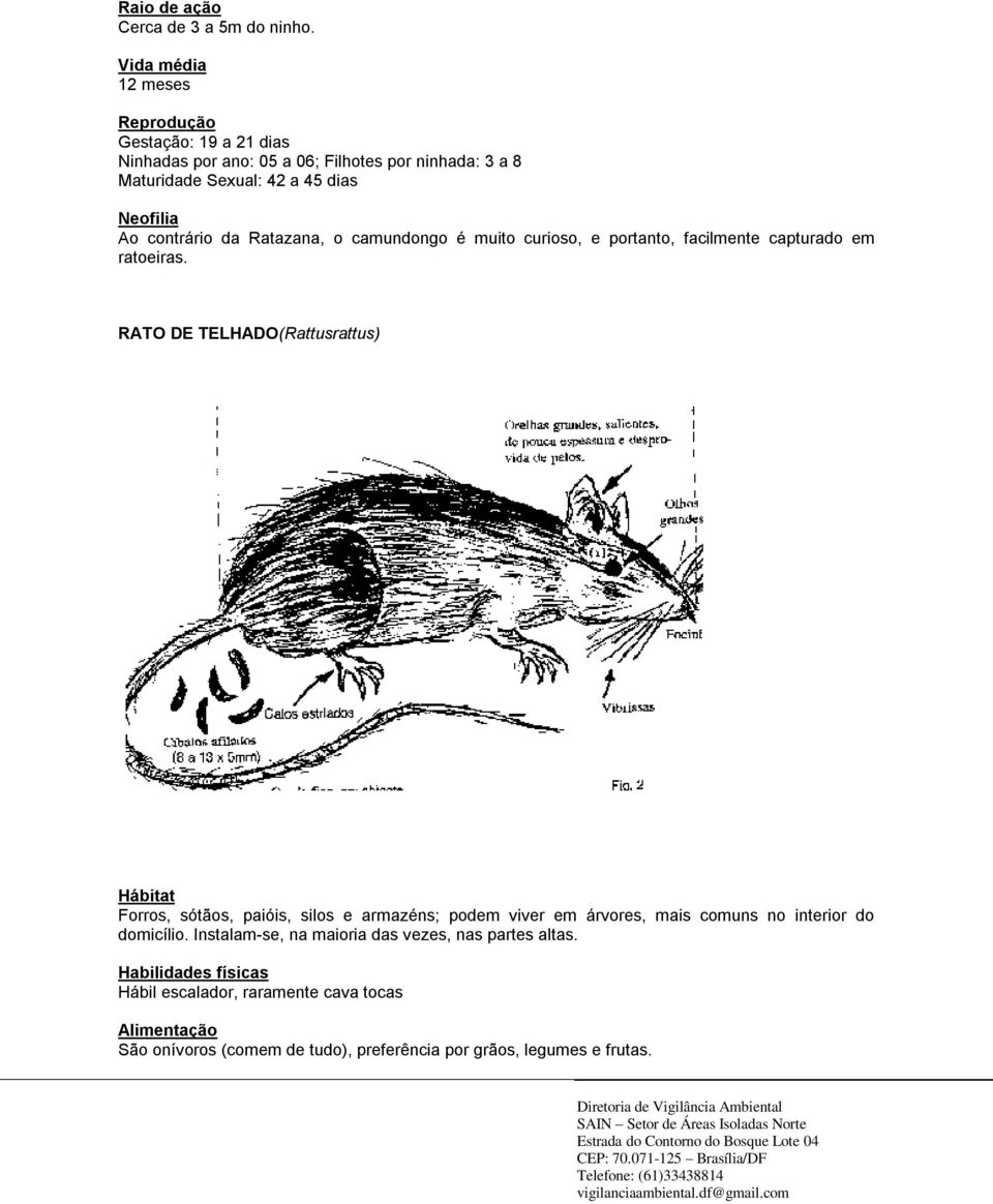 contrário da Ratazana, o camundongo é muito curioso, e portanto, facilmente capturado em ratoeiras.