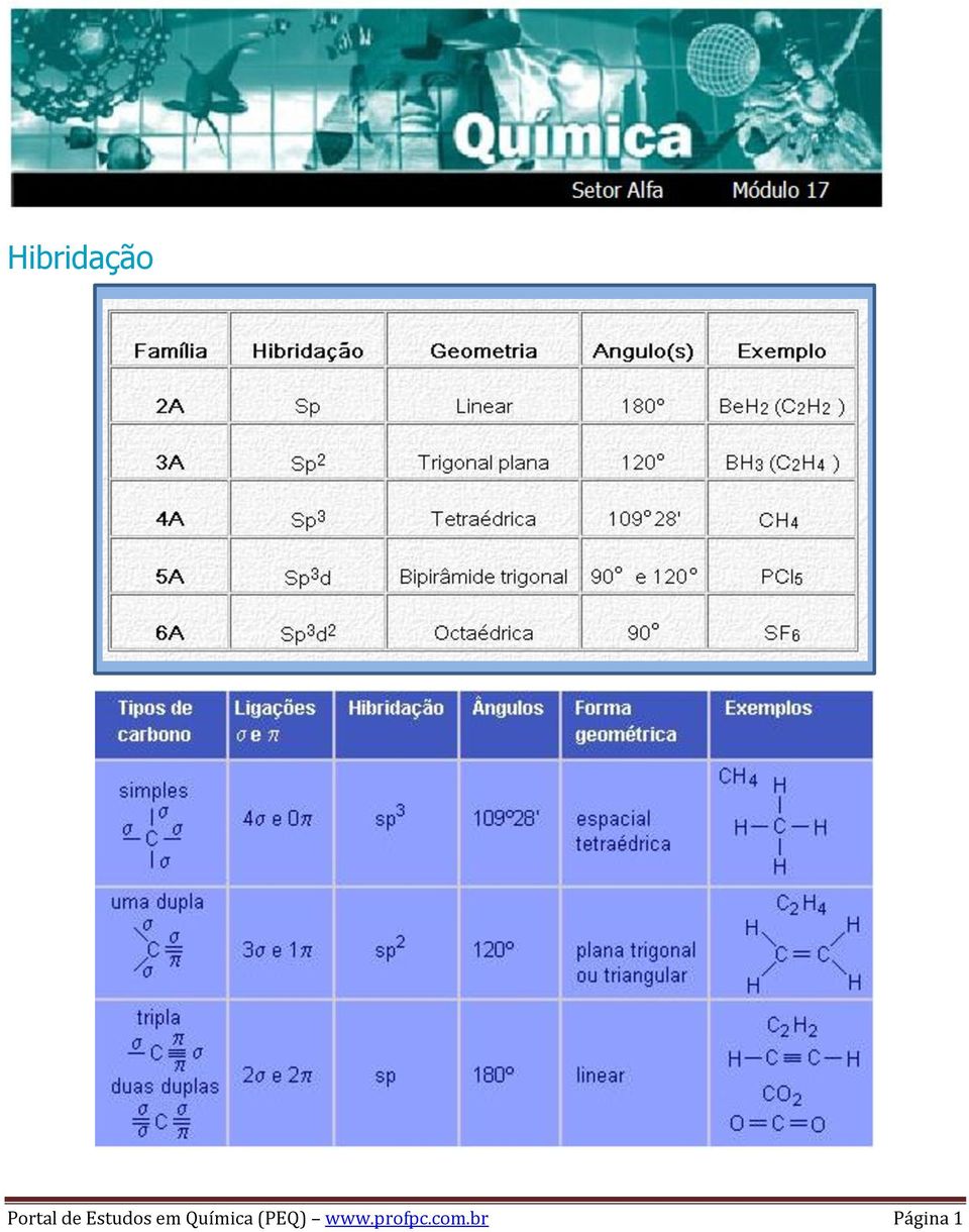 Química (PEQ) www.