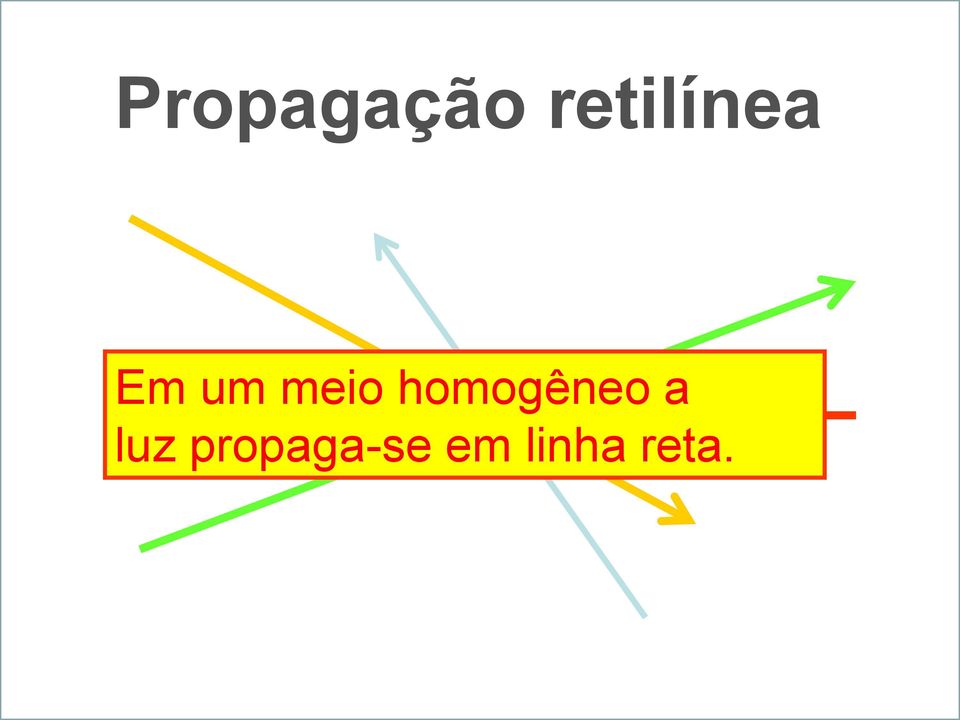 meio homogêneo a