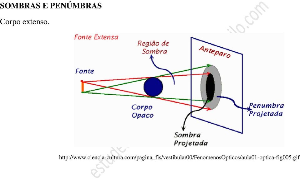 ciencia-cultura.