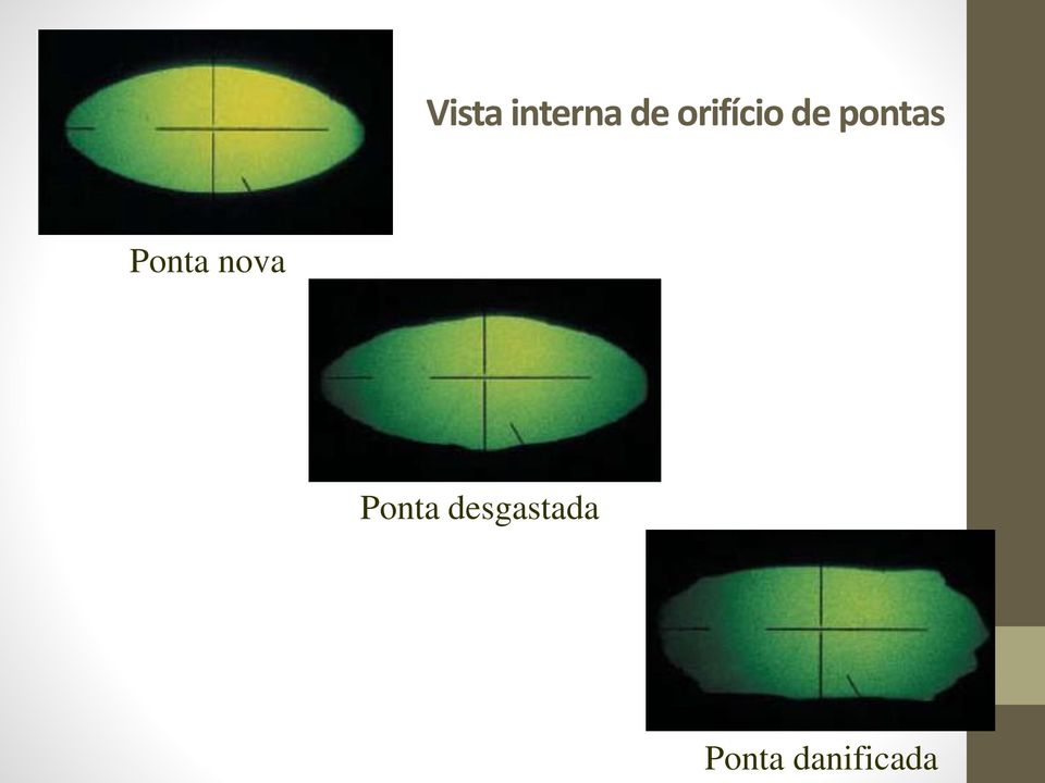 Ponta nova Ponta