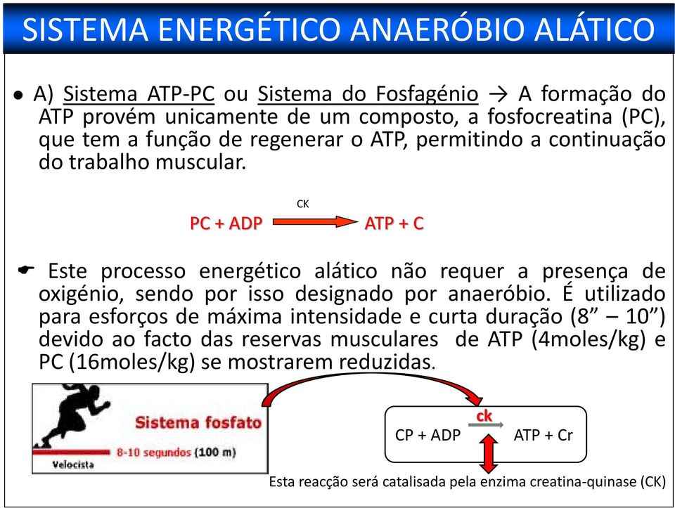 PC + ADP CK + C Este processo energético alático não requer a presença de oxigénio, sendo por isso designado por anaeróbio.