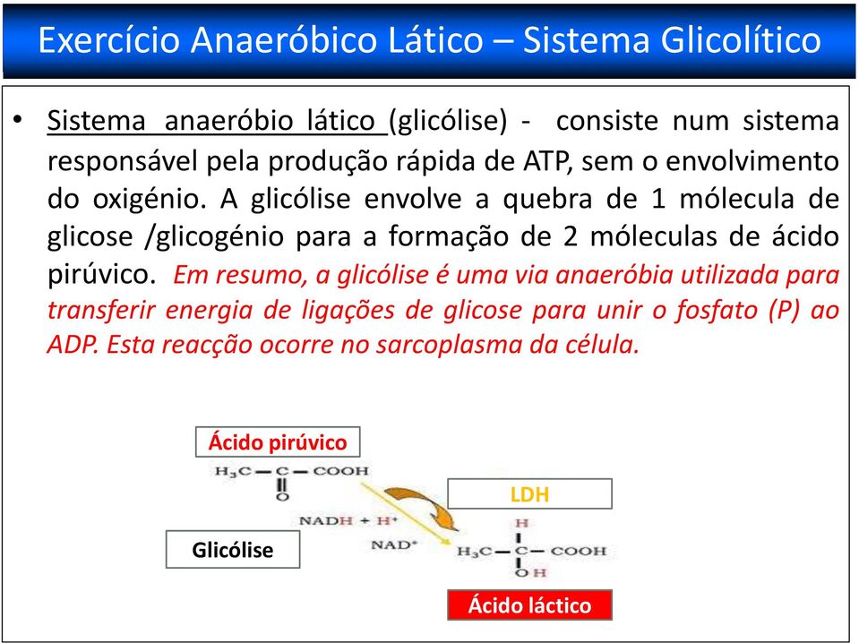 A glicólise envolve a quebra de 1 mólecula de glicose /glicogénio para a formação de 2 móleculas de ácido pirúvico.