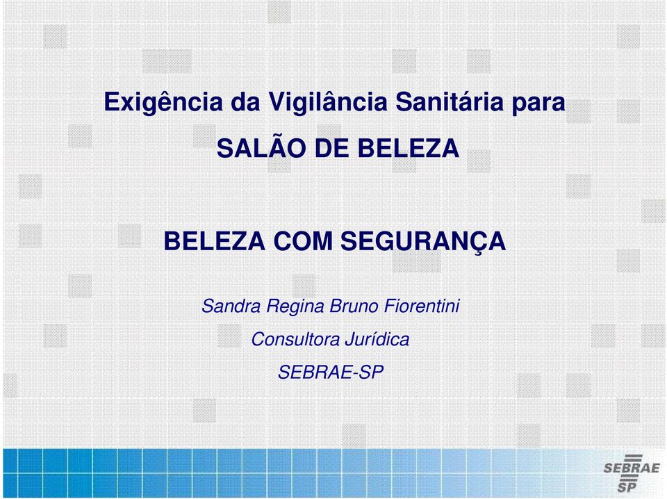 SEGURANÇA Sandra Regina Bruno