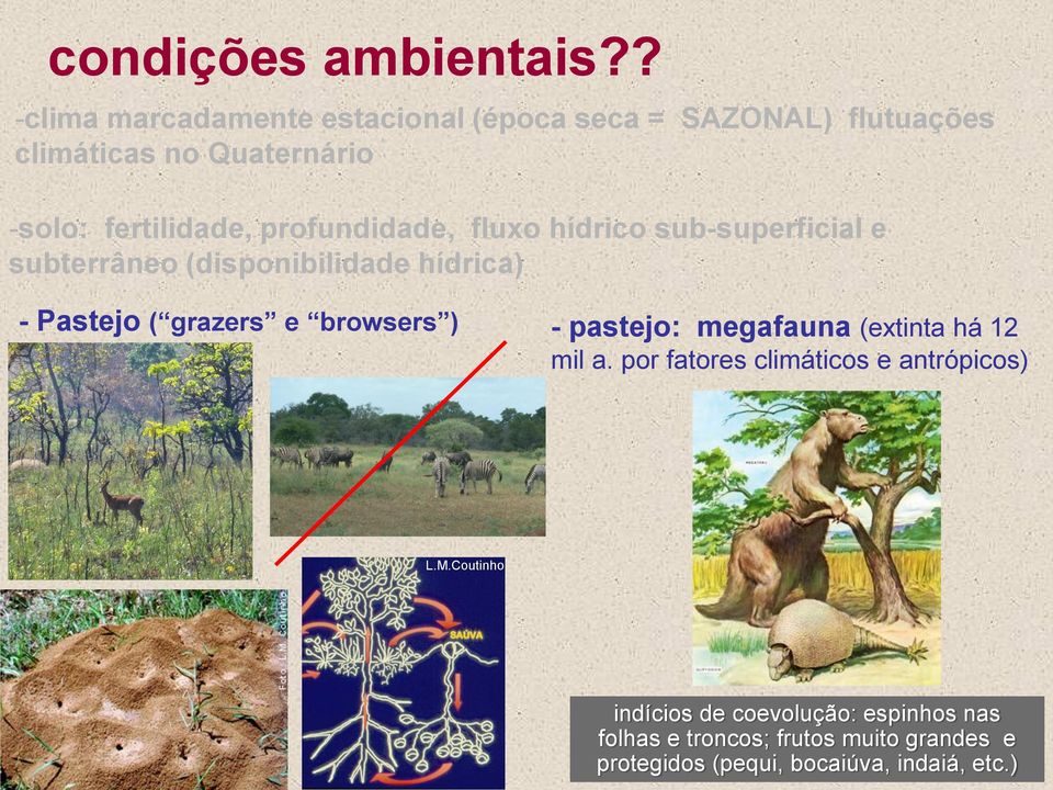 profundidade, fluxo hídrico sub-superficial e subterrâneo (disponibilidade hídrica) - Pastejo ( grazers e browsers