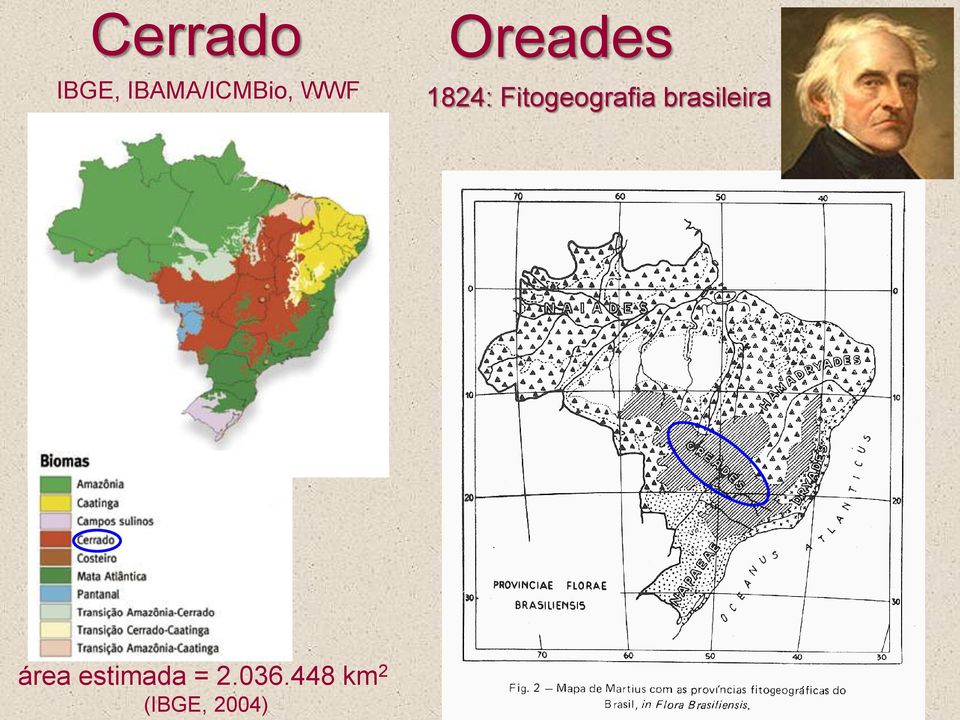 Cerrado IBGE, IBAMA/ICMBio,