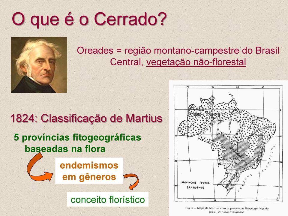 vegetação não-florestal 1824: Classificação de