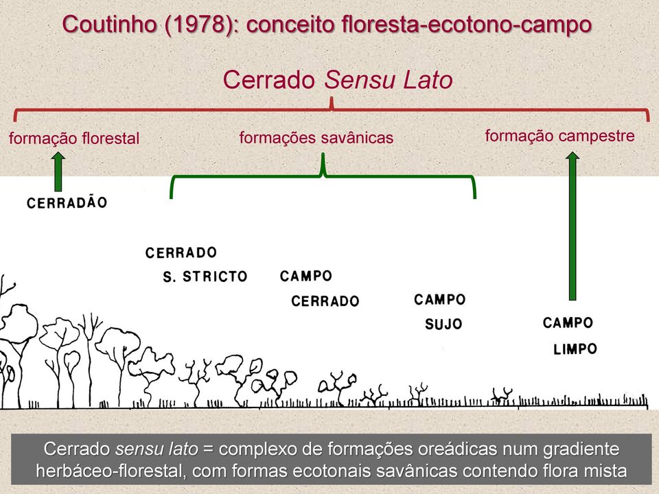 Cerrado sensu lato = complexo de formações oreádicas num