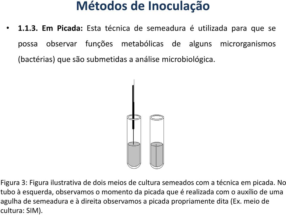 microrganismos (bactérias) que são submetidas a análise microbiológica.