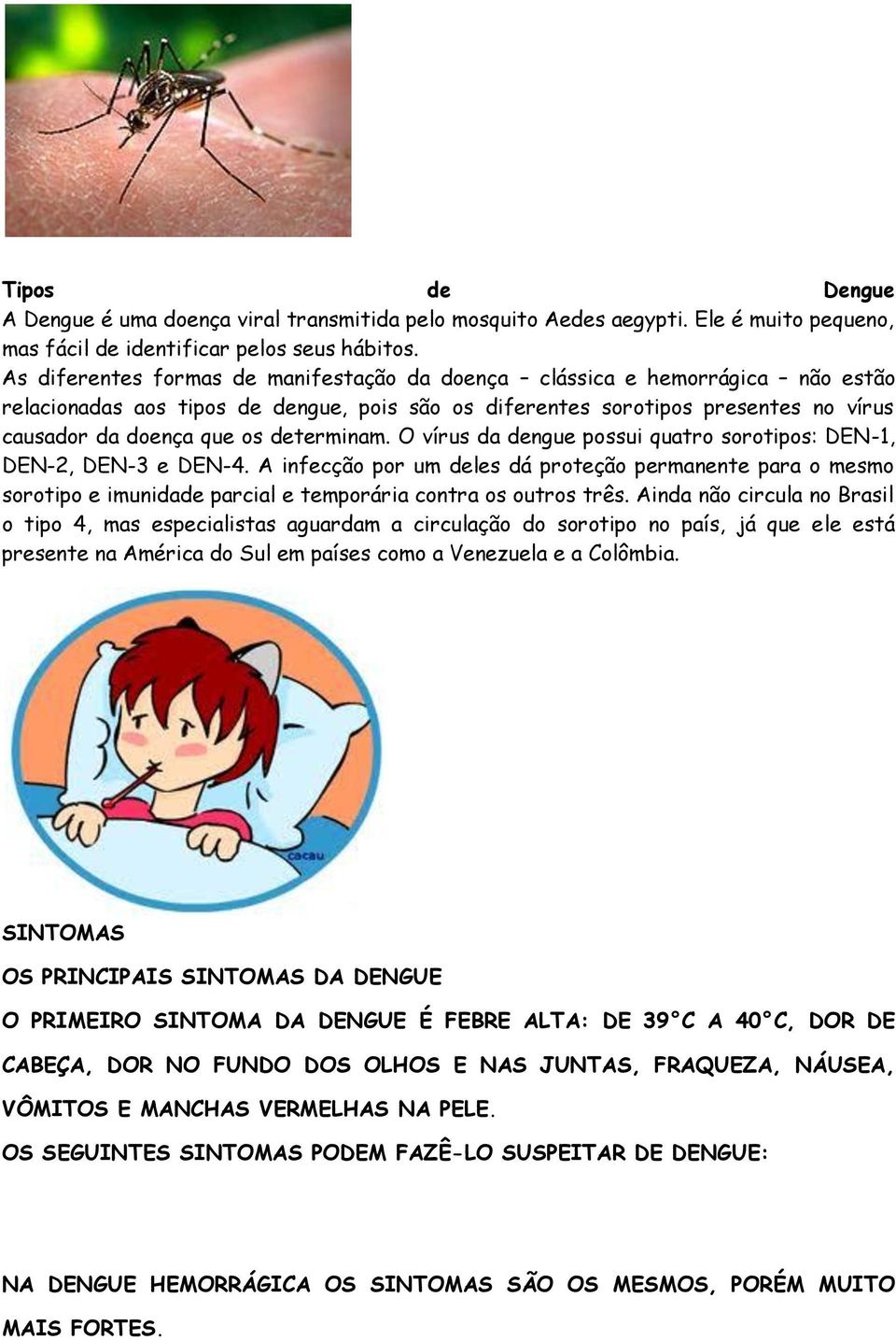 determinam. O vírus da dengue possui quatro sorotipos: DEN-1, DEN-2, DEN-3 e DEN-4.