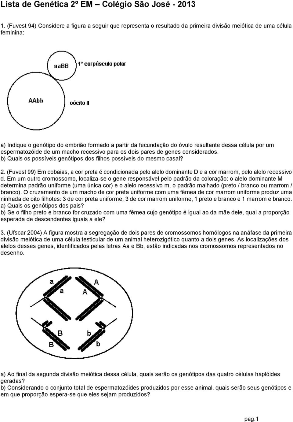 (Fuvest 99) Em cobaias, a cor preta é condicionada pelo alelo dominante D e a cor marrom, pelo alelo recessivo d.