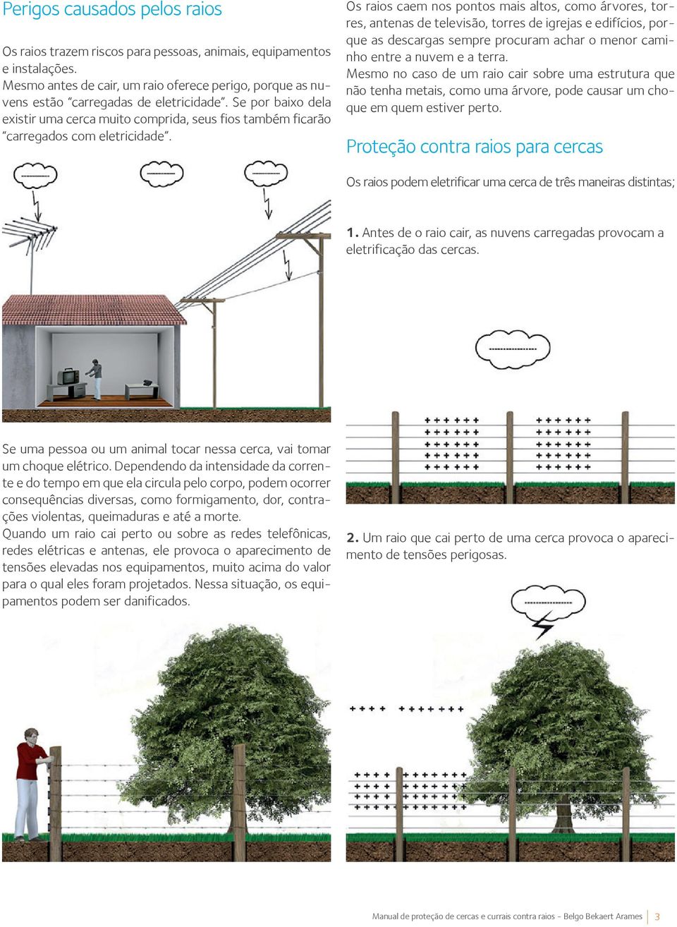 Os raios caem nos pontos mais altos, como árvores, torres, antenas de televisão, torres de igrejas e edifícios, porque as descargas sempre procuram achar o menor caminho entre a nuvem e a terra.