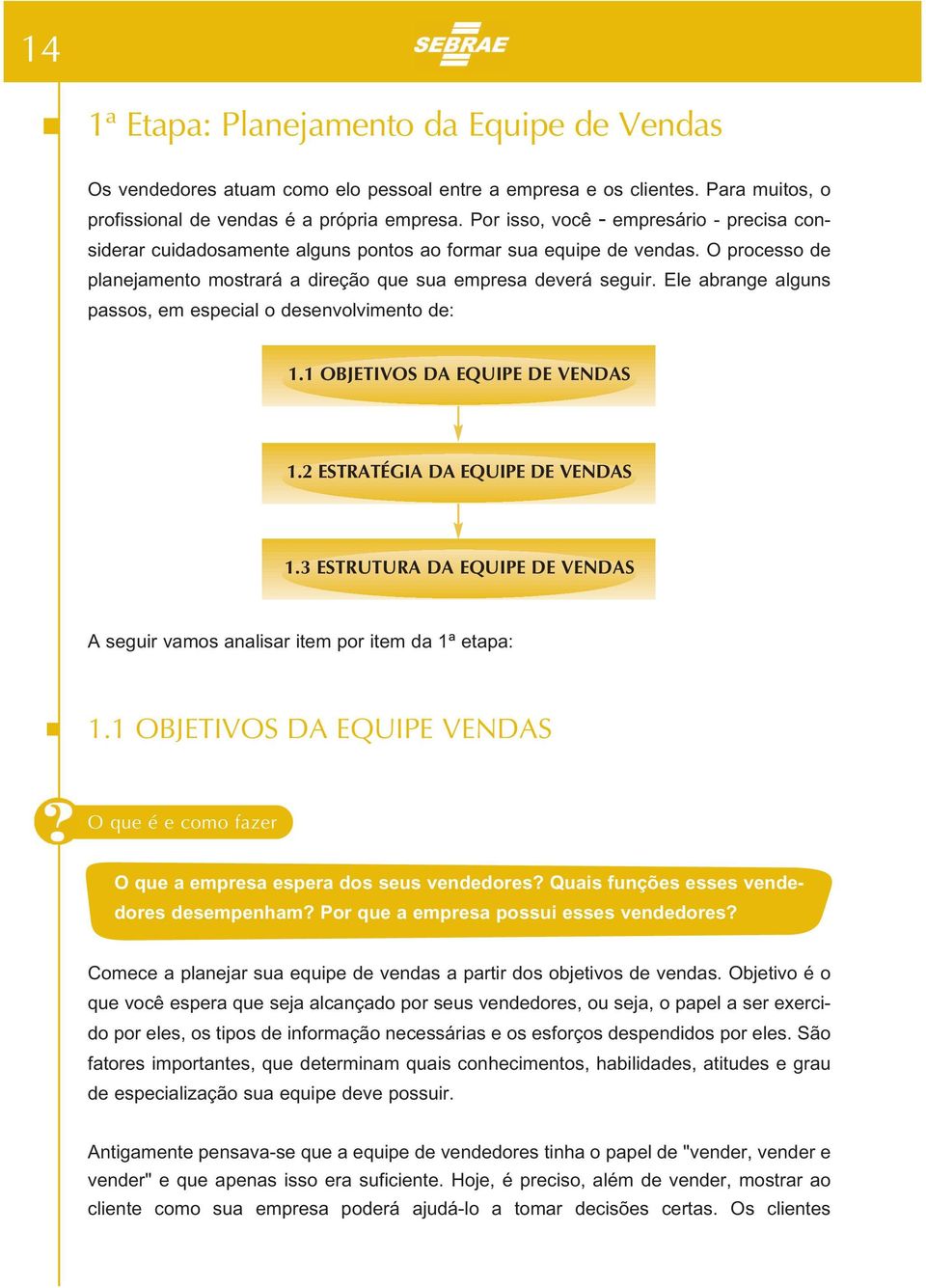 Ele abrange alguns passos, em especial o desenvolvimento de: 1.1 OBJETIVOS DA EQUIPE DE VENDAS 1.2 ESTRATÉGIA DA EQUIPE DE VENDAS 1.