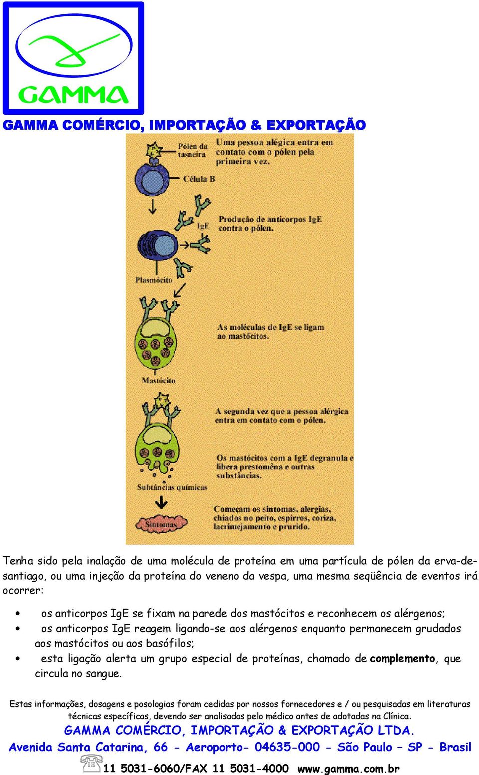 mastócitos e reconhecem os alérgenos; os anticorpos IgE reagem ligando-se aos alérgenos enquanto permanecem grudados