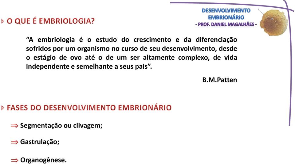 até o de um ser altamente complexo, de vida independente e semelhante a