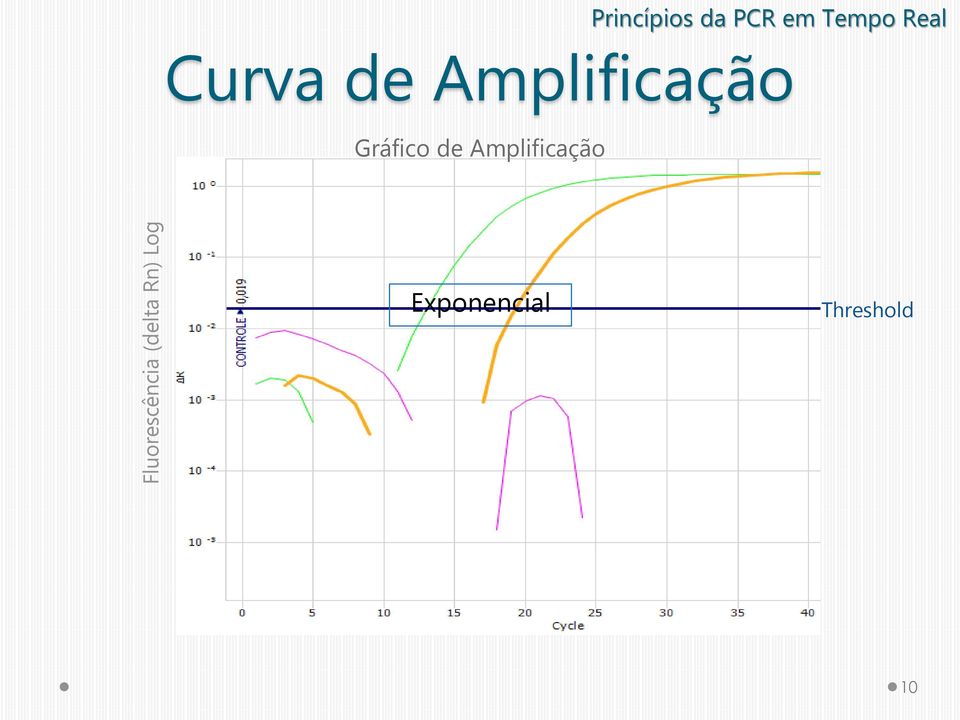 Curva de Amplificação Gráfico de