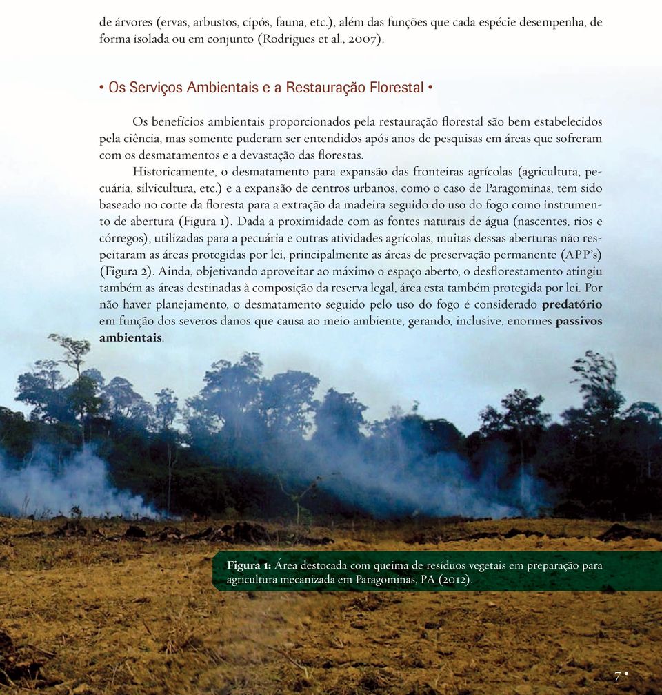 pesquisas em áreas que sofreram com os desmatamentos e a devastação das florestas. Historicamente, o desmatamento para expansão das fronteiras agrícolas (agricultura, pecuária, silvicultura, etc.